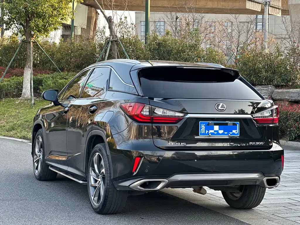 Lexus RX — фото 4