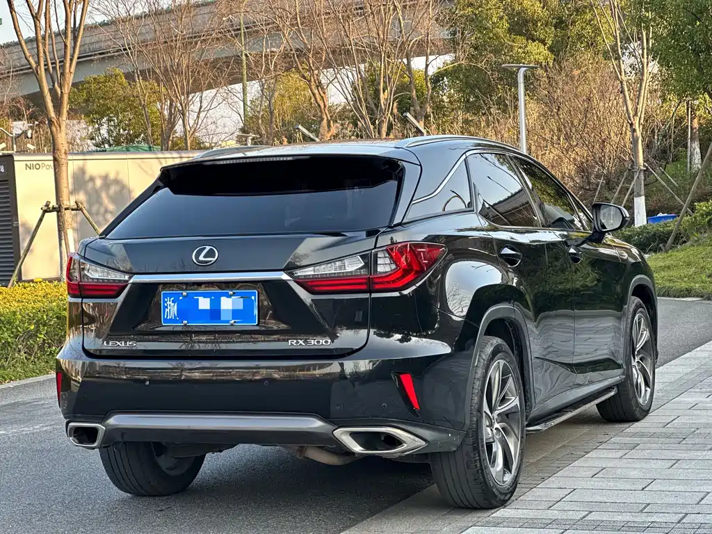 Lexus RX — фото 6