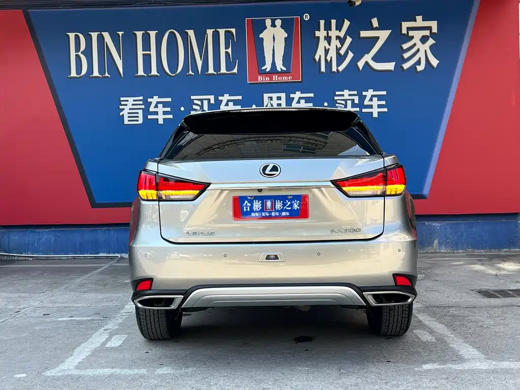 Lexus RX — фото 28