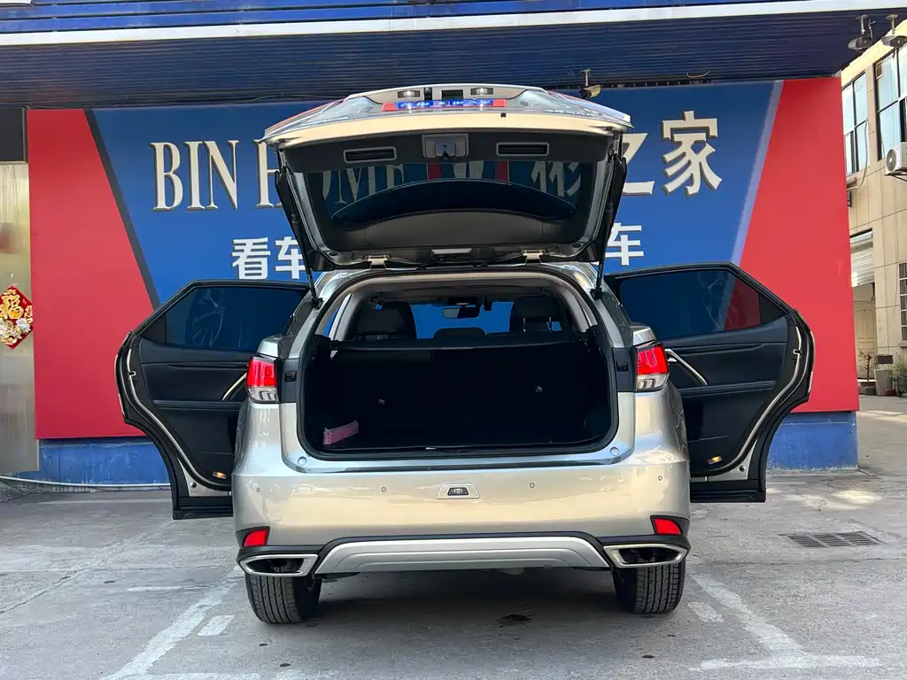 Lexus RX — фото 10