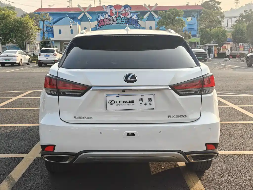 Lexus RX — фото 4