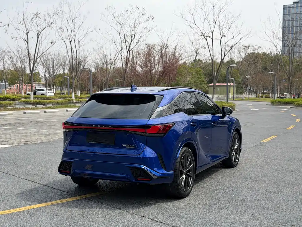 Lexus RX — фото 13
