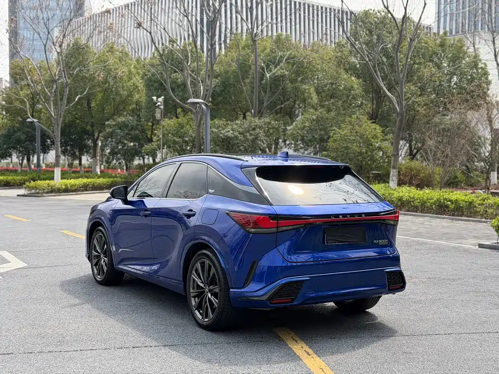 Lexus RX — фото 15