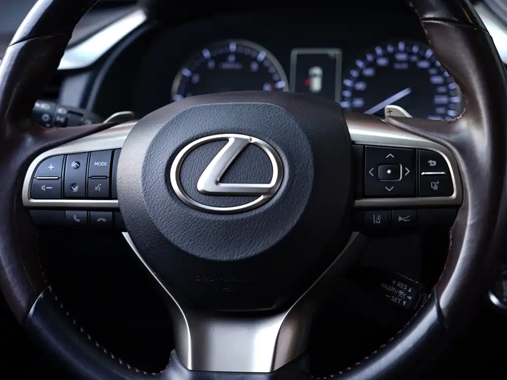 Lexus RX — фото 14
