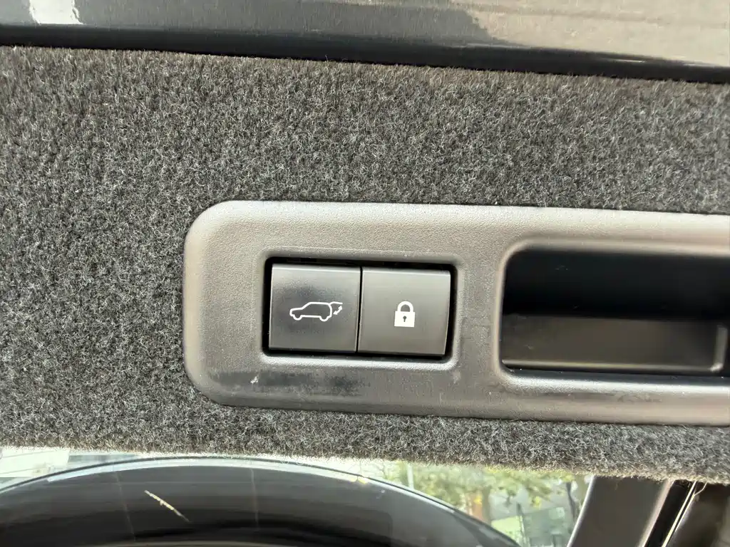 Lexus RX — фото 23