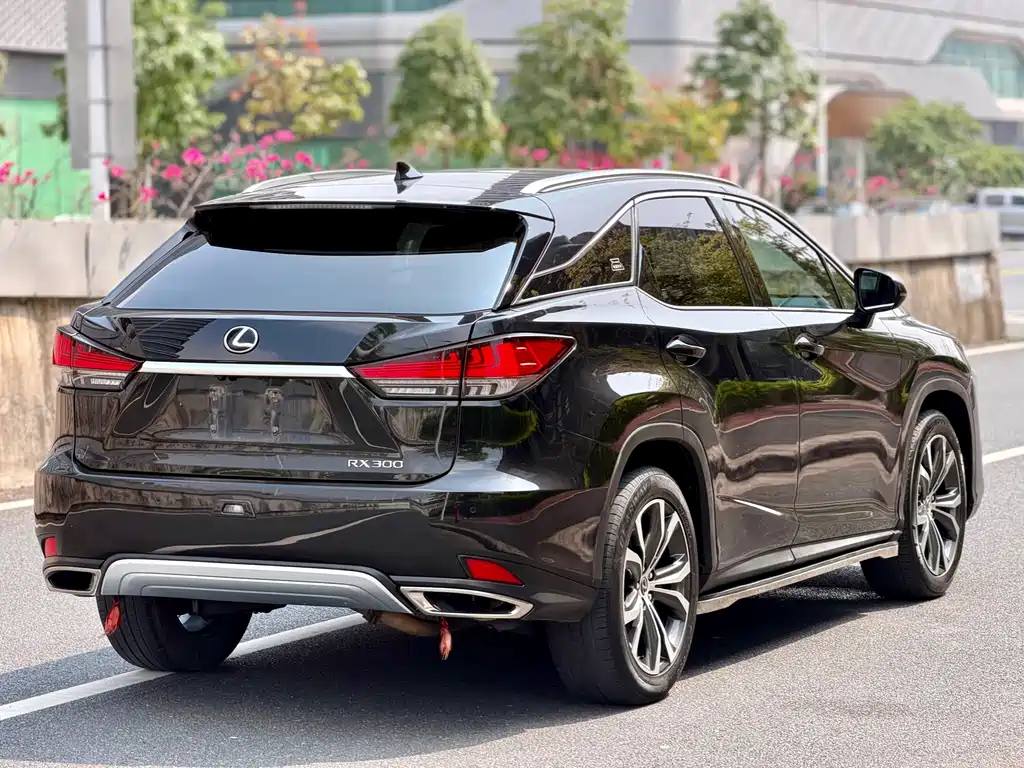 Lexus RX — фото 6