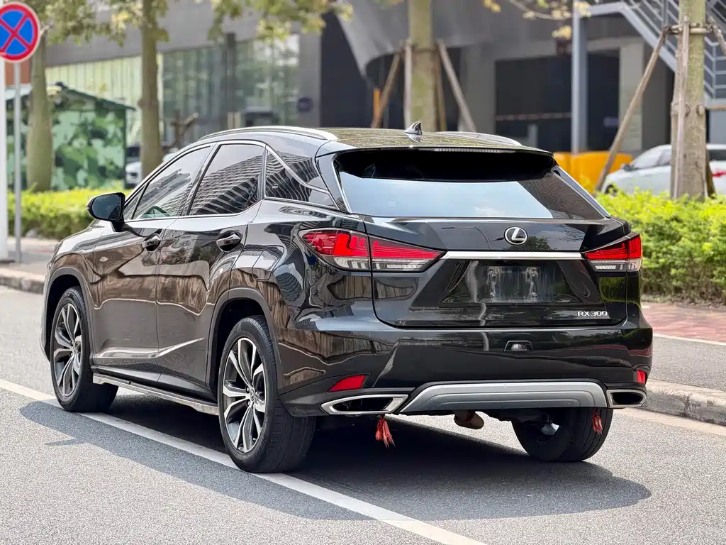 Lexus RX — фото 8