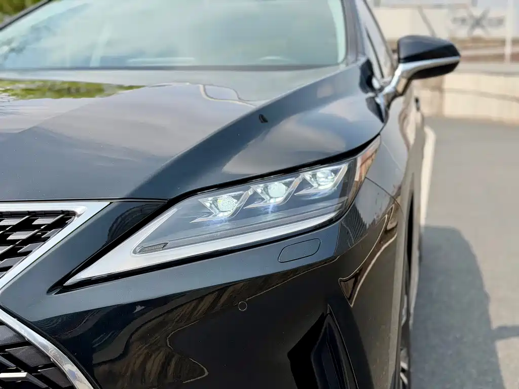 Lexus RX — фото 10
