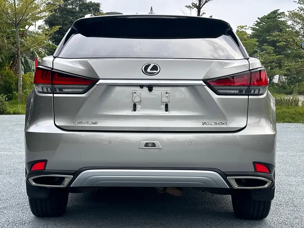 Lexus RX — фото 5
