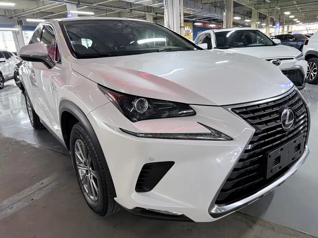 Lexus NX — фото 3