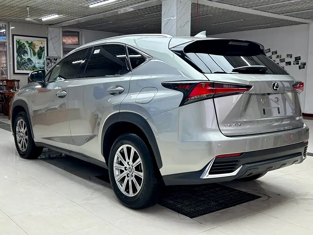 Lexus NX — фото 6