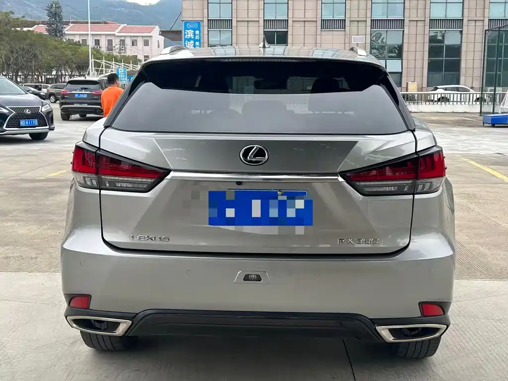 Lexus RX — фото 8