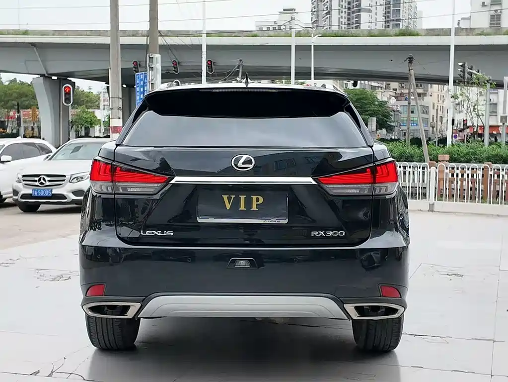 Lexus RX — фото 11