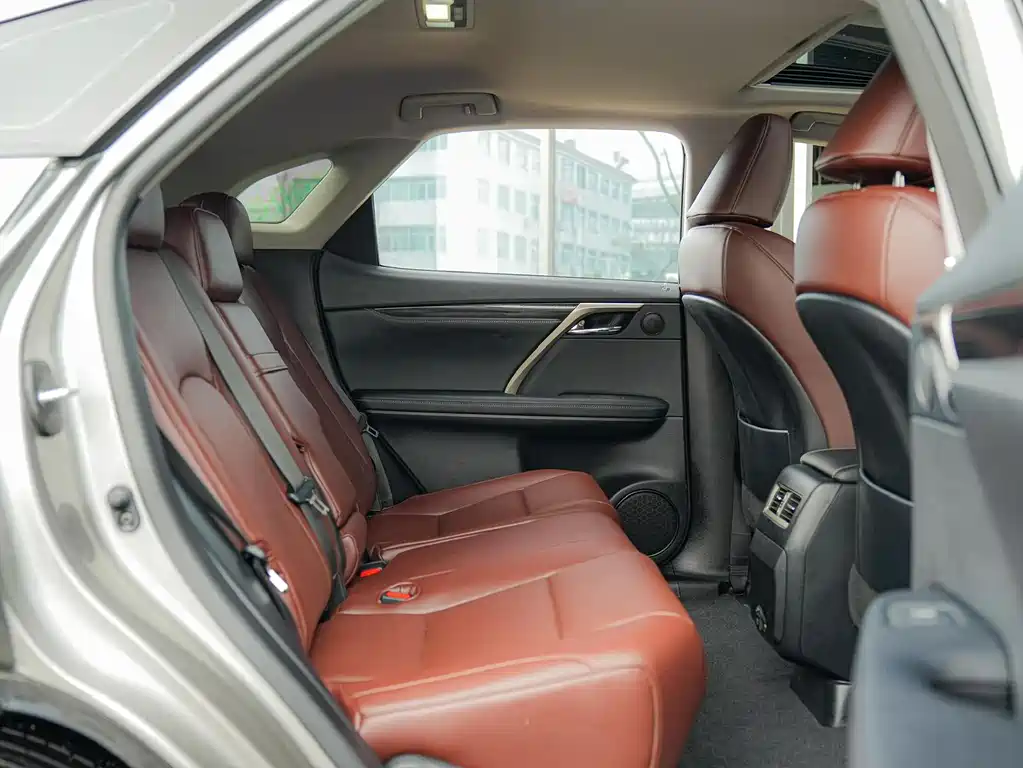 Lexus RX — фото 14