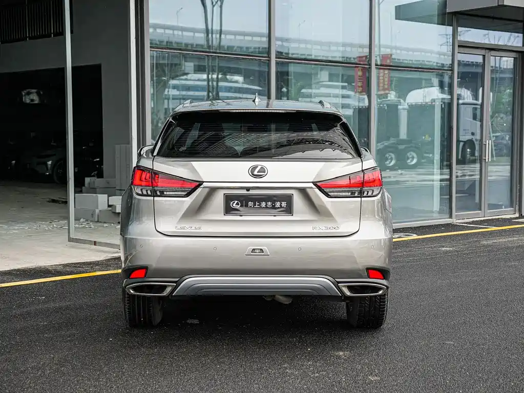 Lexus RX — фото 5