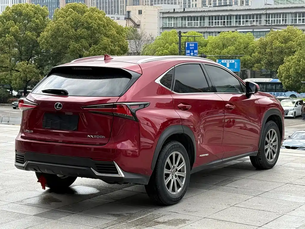 Lexus NX — фото 23