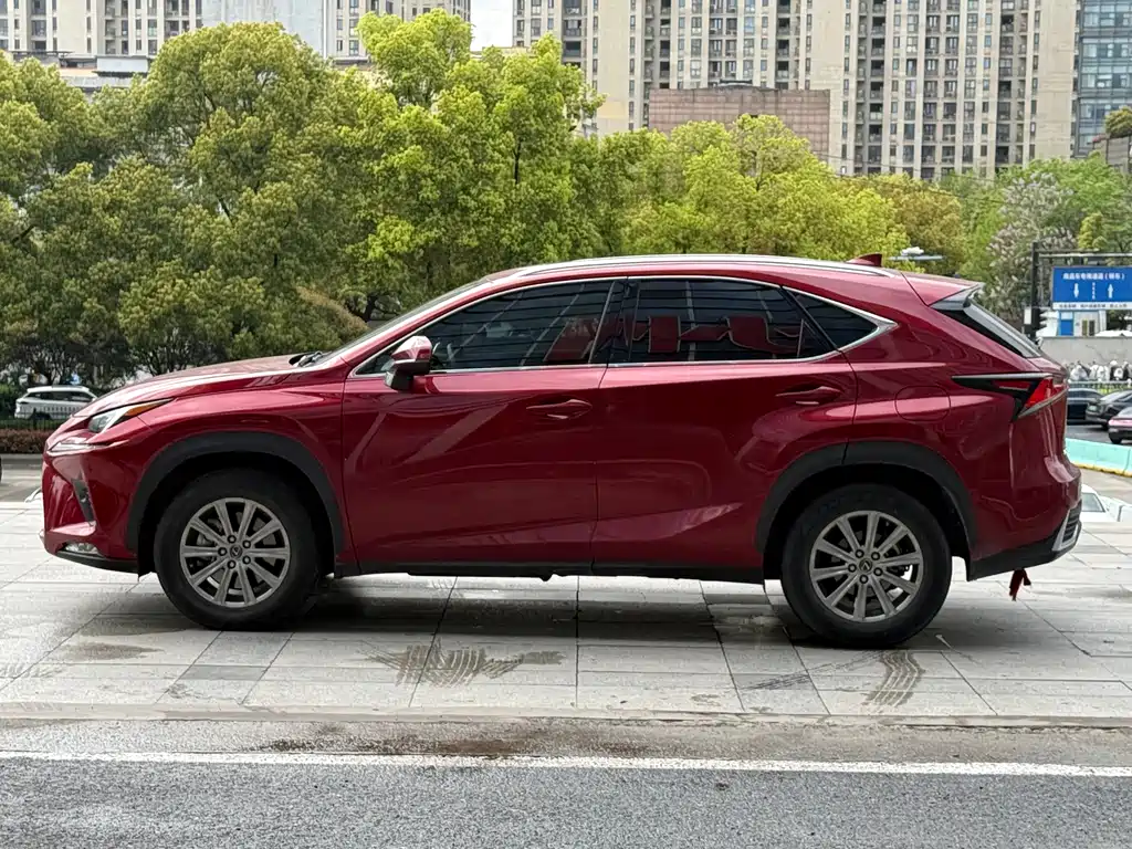 Lexus NX — фото 26