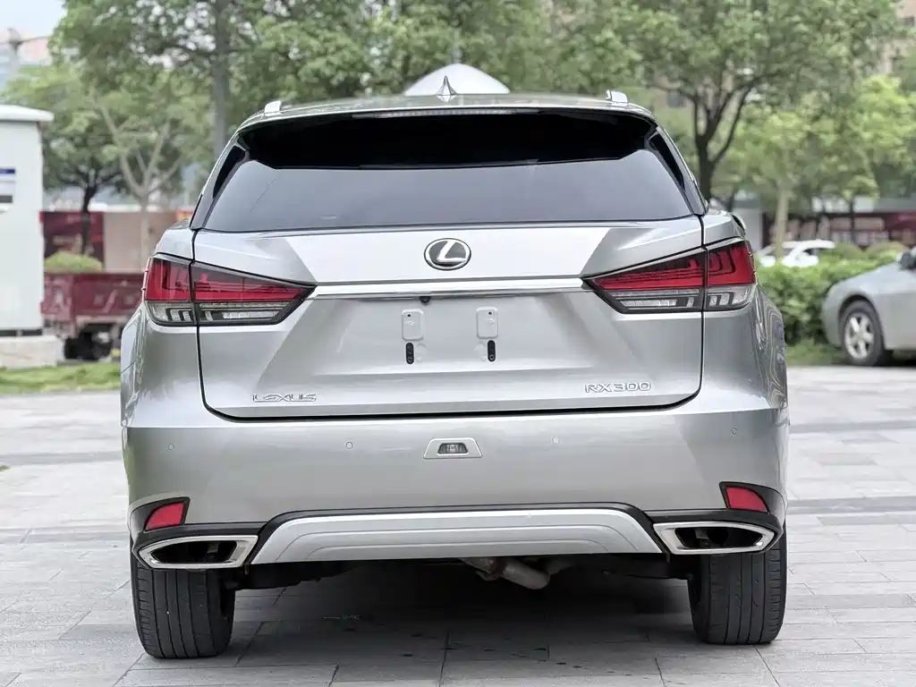 Lexus RX — фото 4