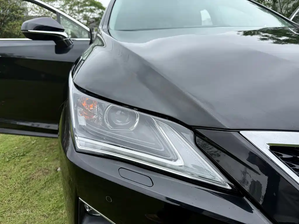 Lexus RX — фото 15