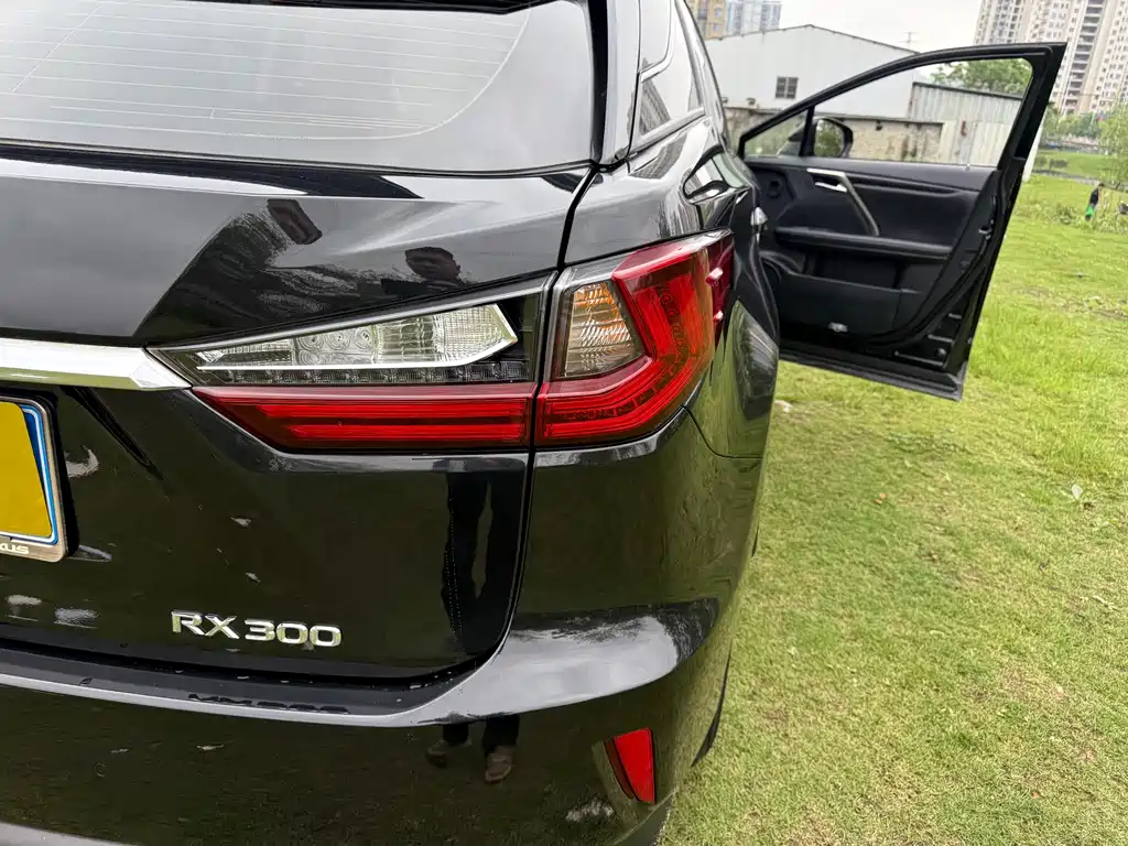 Lexus RX — фото 16