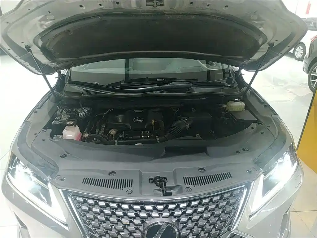 Lexus RX — фото 14