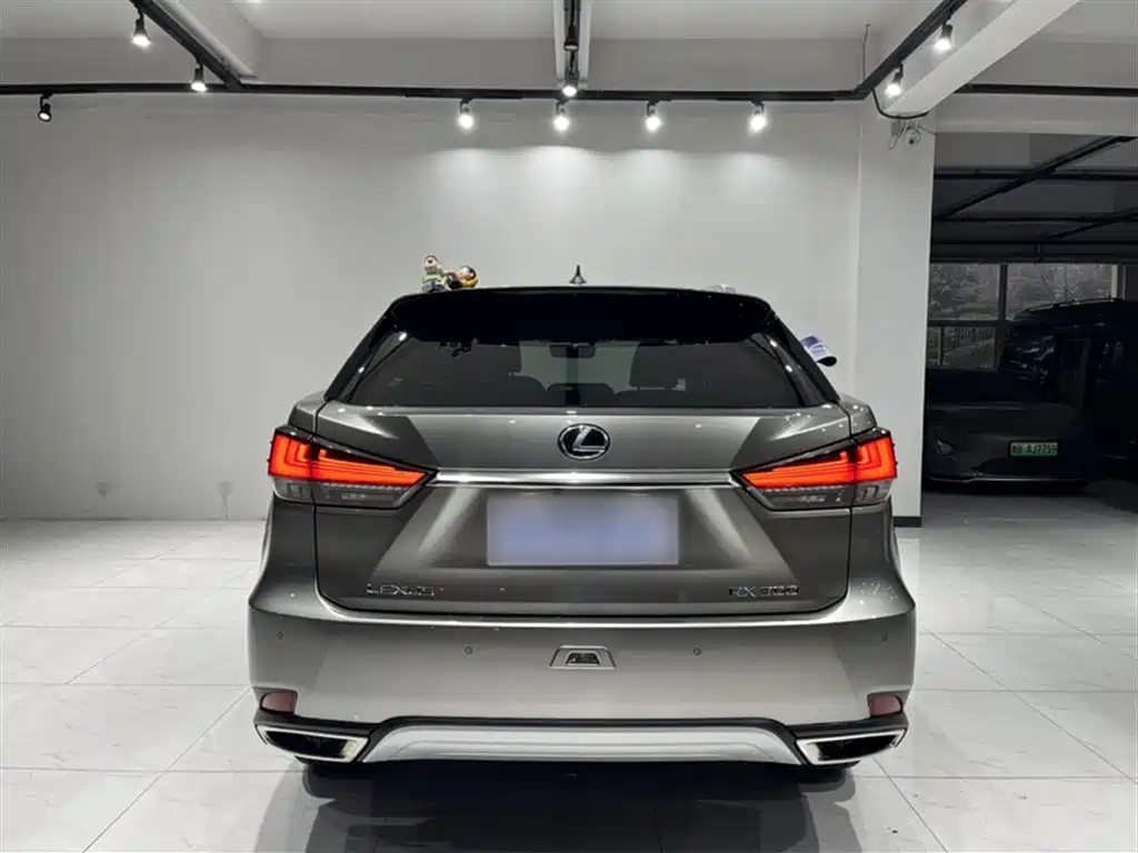 Lexus RX — фото 24