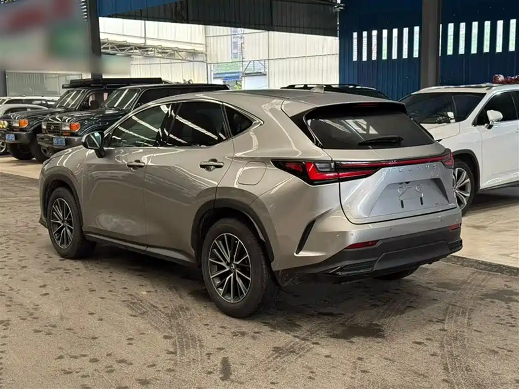 Lexus NX — фото 25