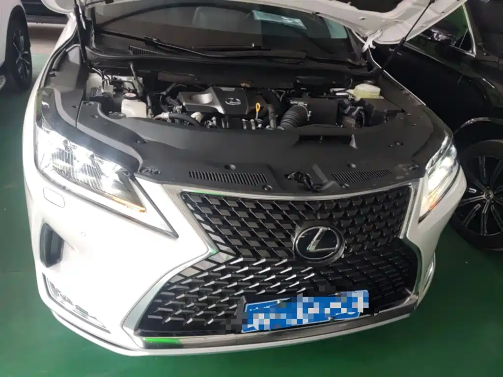 Lexus RX — фото 20