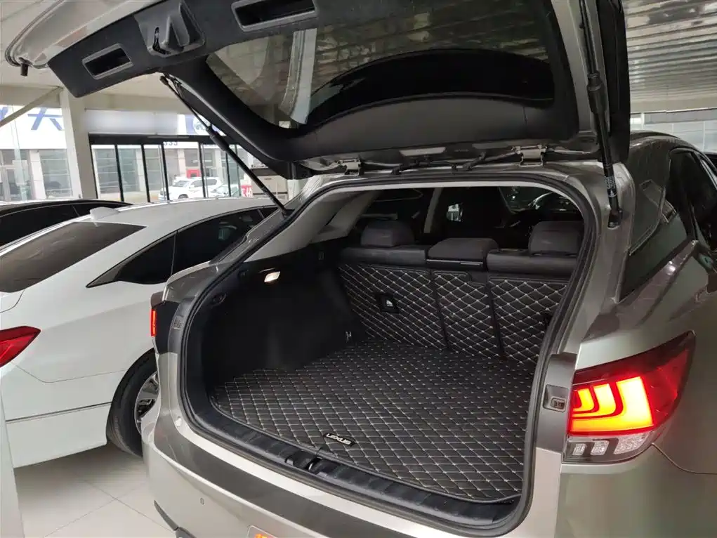 Lexus RX — фото 19