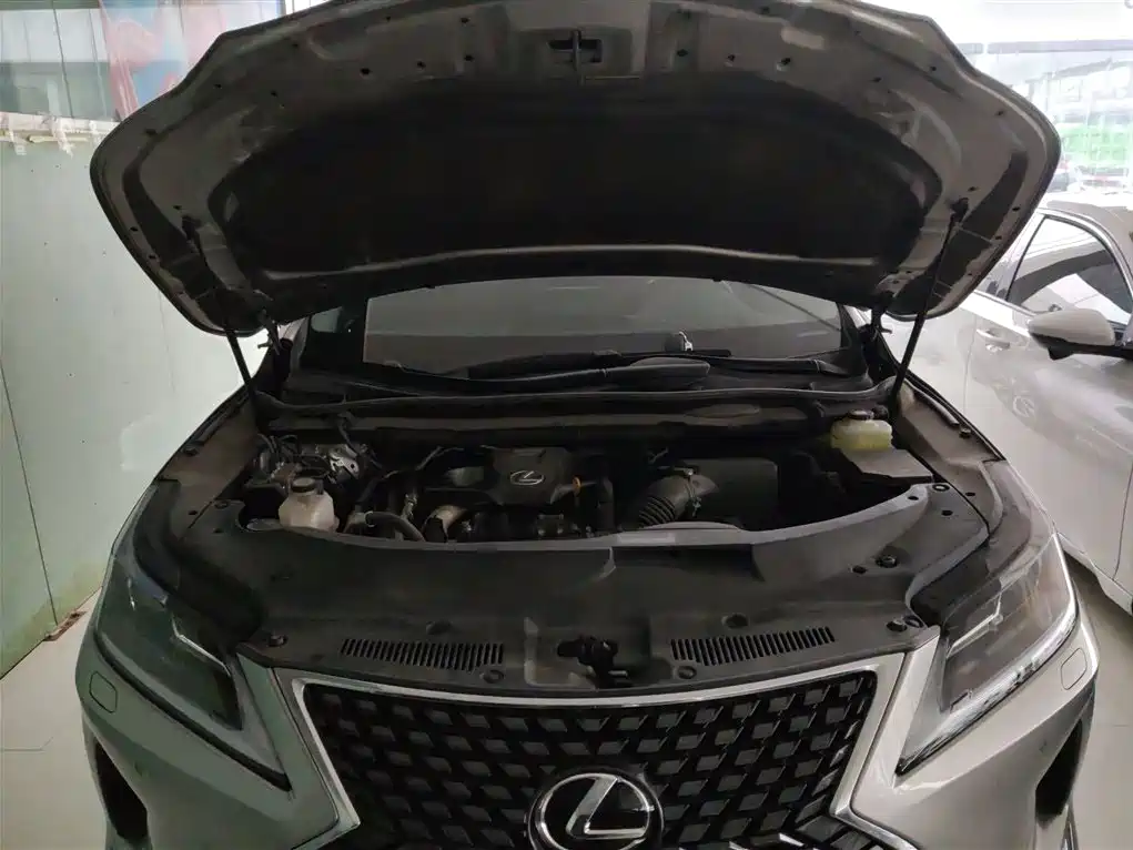 Lexus RX — фото 20