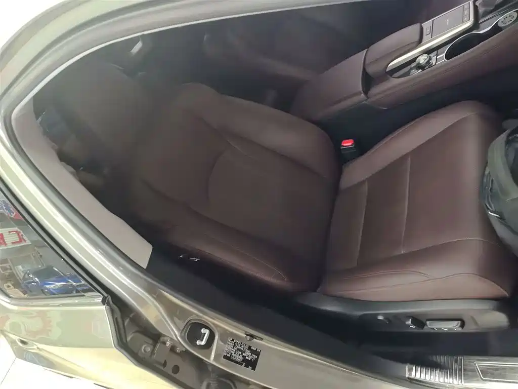 Lexus RX — фото 19