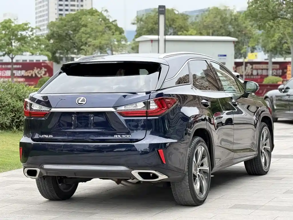Lexus RX — фото 4