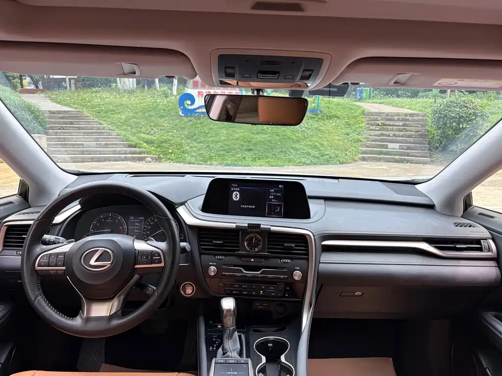 Lexus RX — фото 10