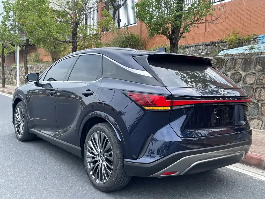Lexus RX — фото 9