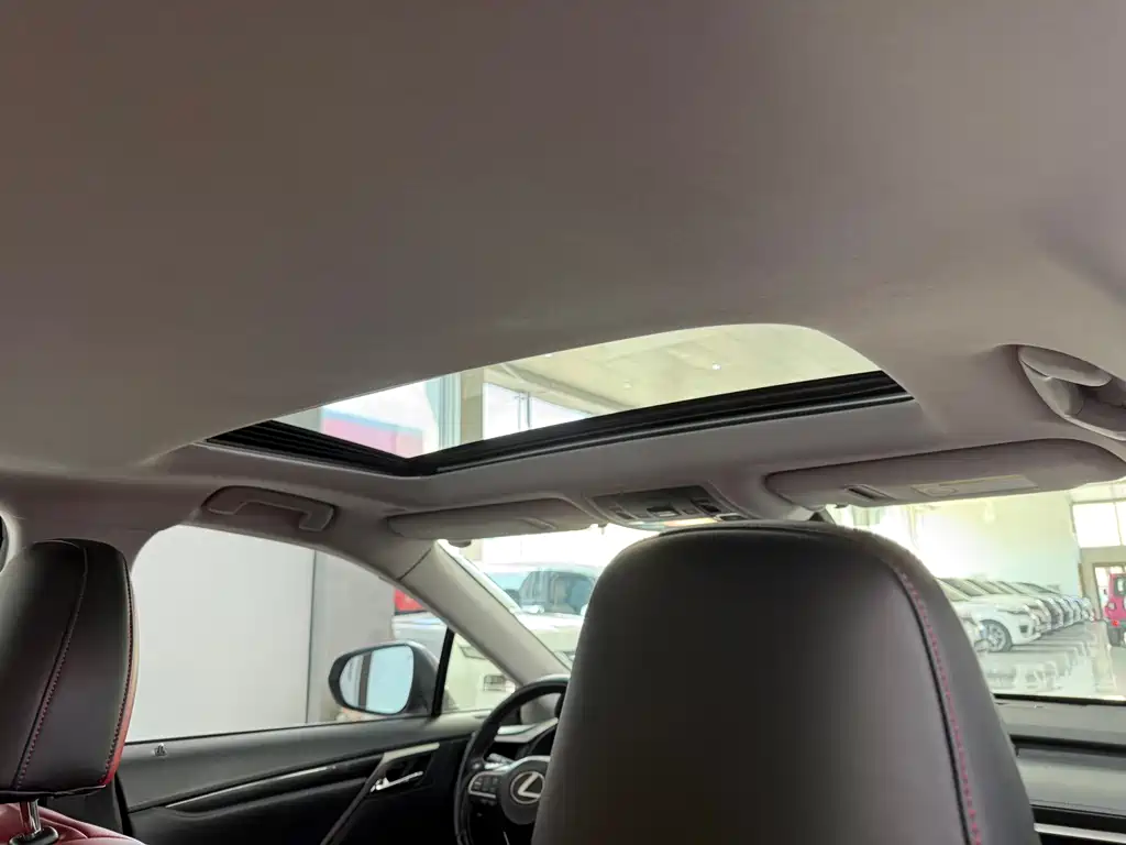 Lexus RX — фото 11