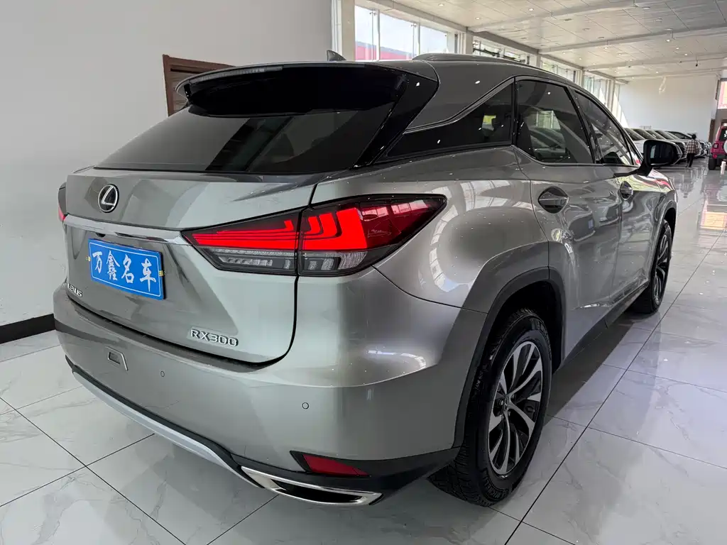Lexus RX — фото 19
