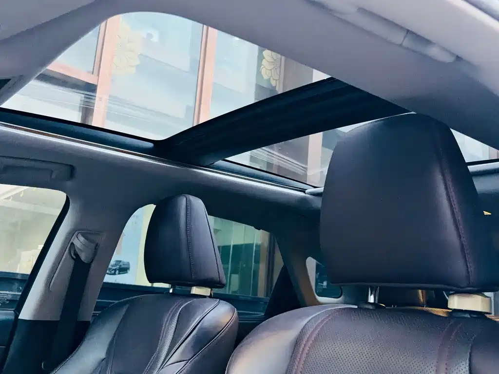 Lexus RX — фото 10