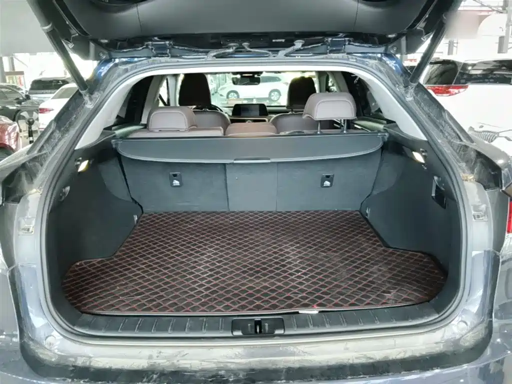 Lexus RX — фото 19