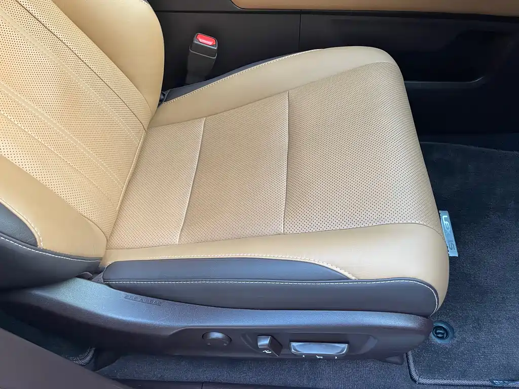 Lexus RX — фото 23