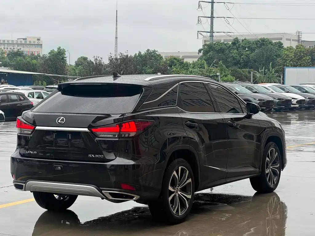 Lexus RX — фото 8