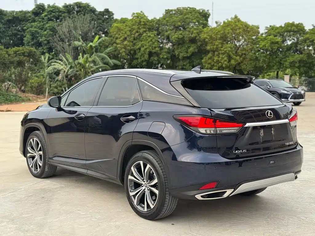 Lexus RX — фото 8