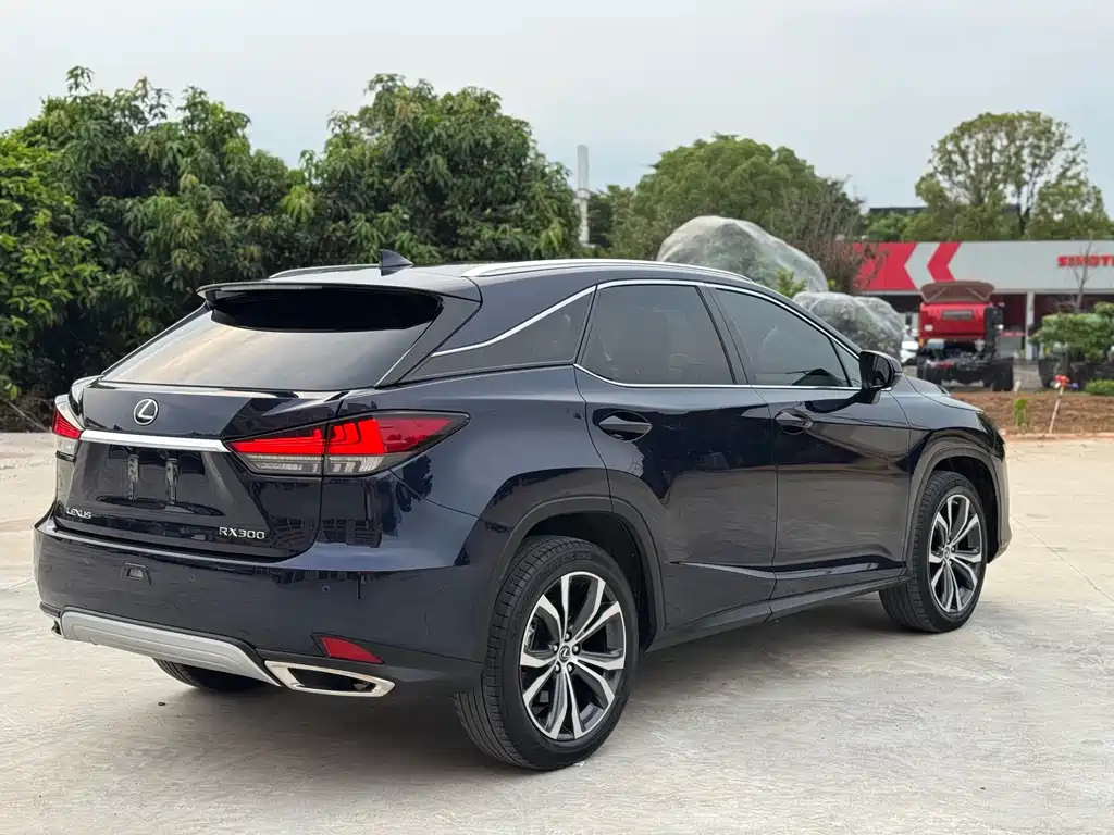 Lexus RX — фото 9