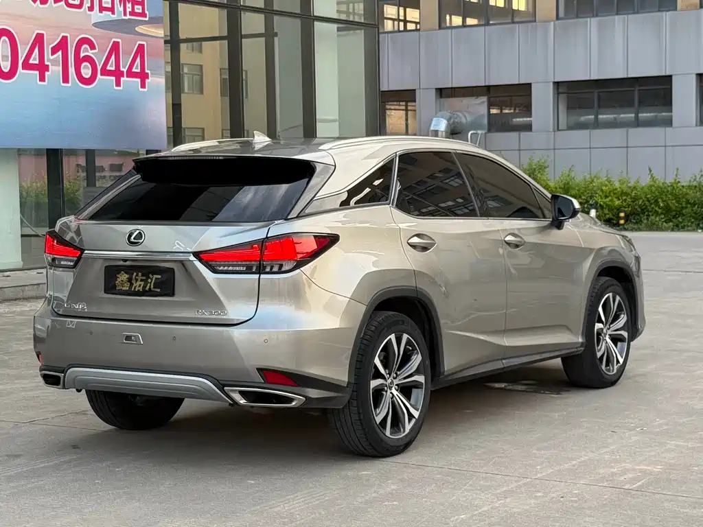 Lexus RX — фото 9