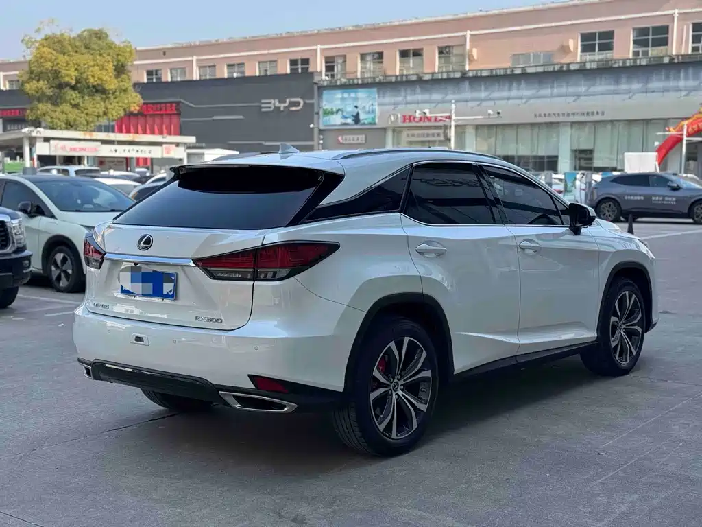 Lexus RX — фото 8