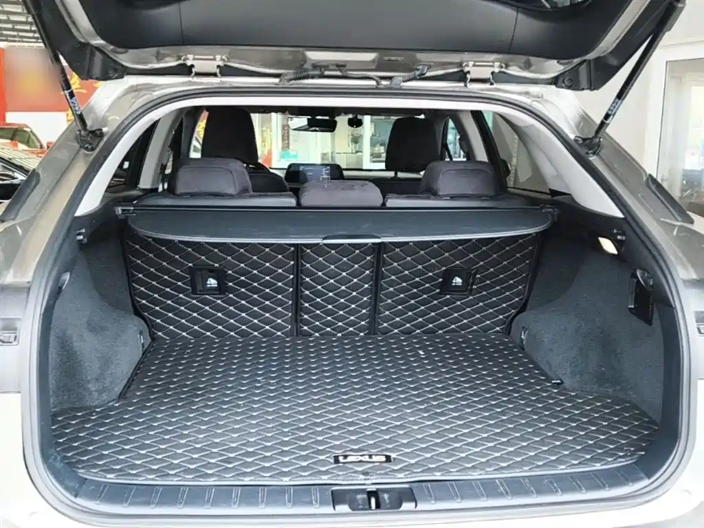 Lexus RX — фото 19