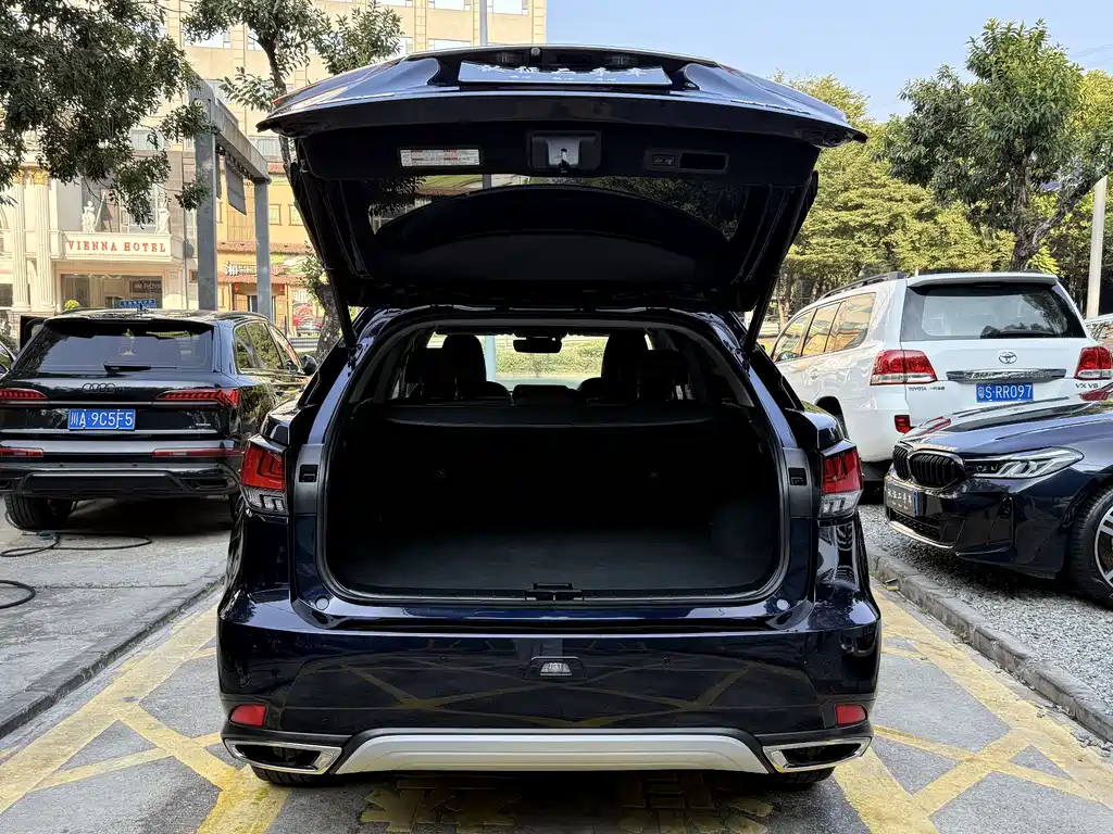 Lexus RX — фото 17