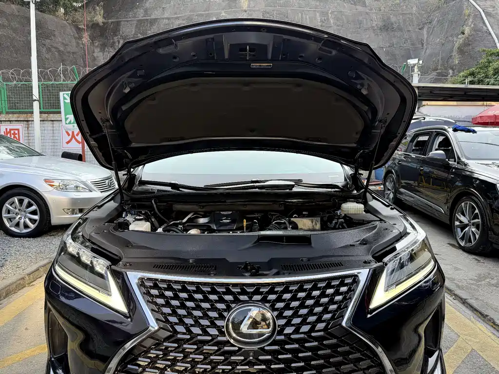 Lexus RX — фото 19