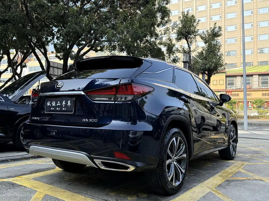 Lexus RX — фото 5