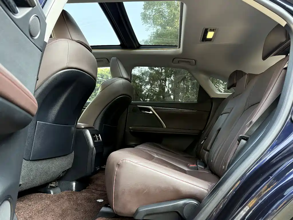 Lexus RX — фото 10