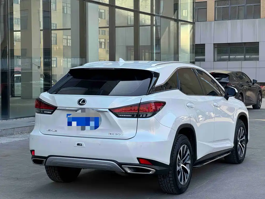 Lexus RX — фото 8